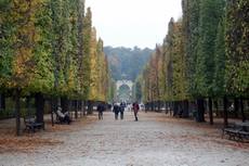 Schloss Schönbrunn_Schlossgarten_06.JPG